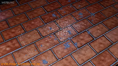 LEFANT M3 Wischroboter - Saugtest