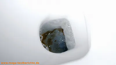 Restschmutz im Ablauf einer Toilette