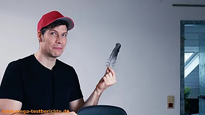 Das Geheimnis: Die Vogelfeder