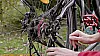 Fahrrad Kassette wechseln - Schnellspannhebel