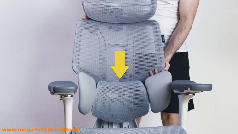 HABADA E3 Pro - Lordosenstütze